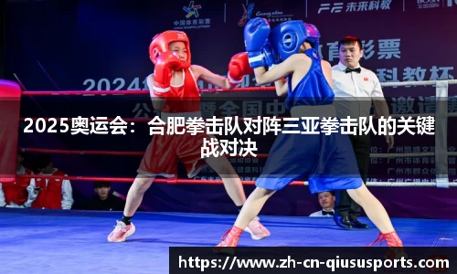 2025奥运会：合肥拳击队对阵三亚拳击队的关键战对决