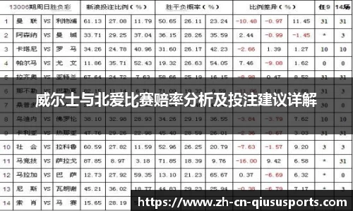 威尔士与北爱比赛赔率分析及投注建议详解